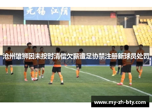 沧州雄狮因未按时清偿欠薪遭足协禁注册新球员处罚 沧州雄狮因未按时清偿欠薪遭足协禁注册新球员处罚